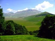 Fai click per ingrandire