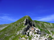 Fai click per ingrandire