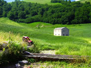 Fai click per ingrandire