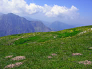 Fai click per ingrandire