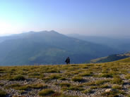 Fai click per ingrandire
