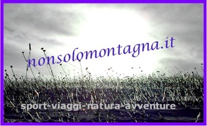 nonsolomontagna.it